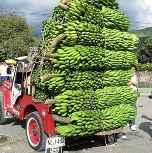 Meet your Posher, Arlos